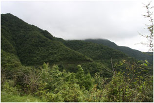 Chisopani Trek