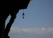 Hotel Peaceful Cottage